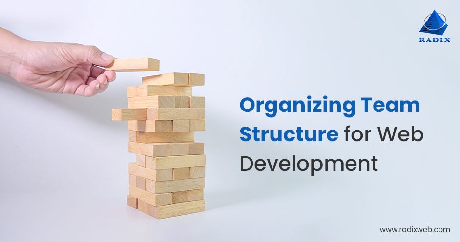 Organize Web Development Team Structure from Scratch
