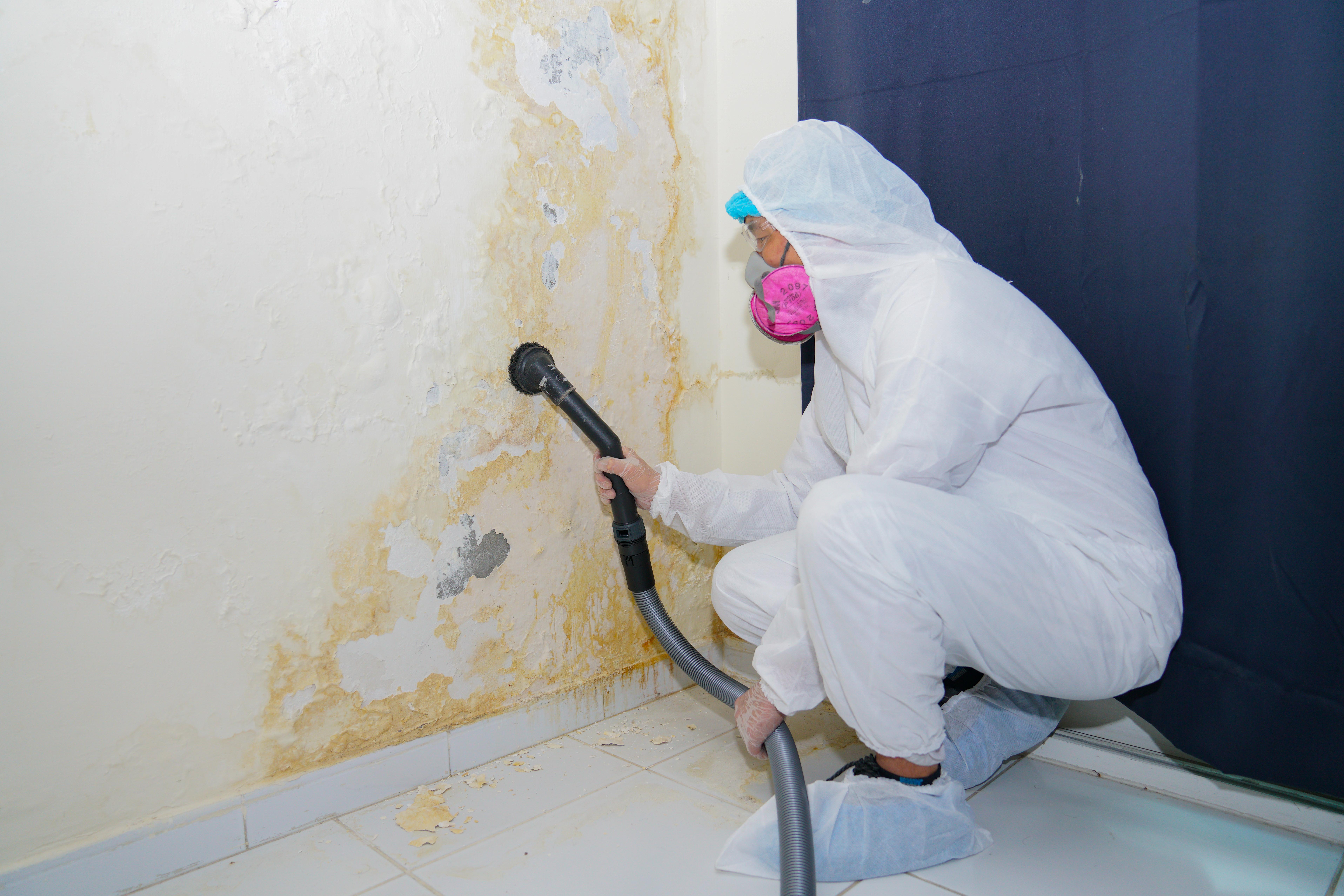 Post Mold Remediation Cleaning