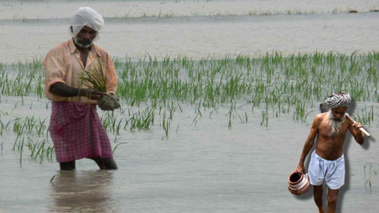 Untimely Rains : అకాల వర్షాల కారణంగా వరిపంట నీటిముంపుకు గురైతే తీసుకోవాల్సిన జాగ్రత్తలు!