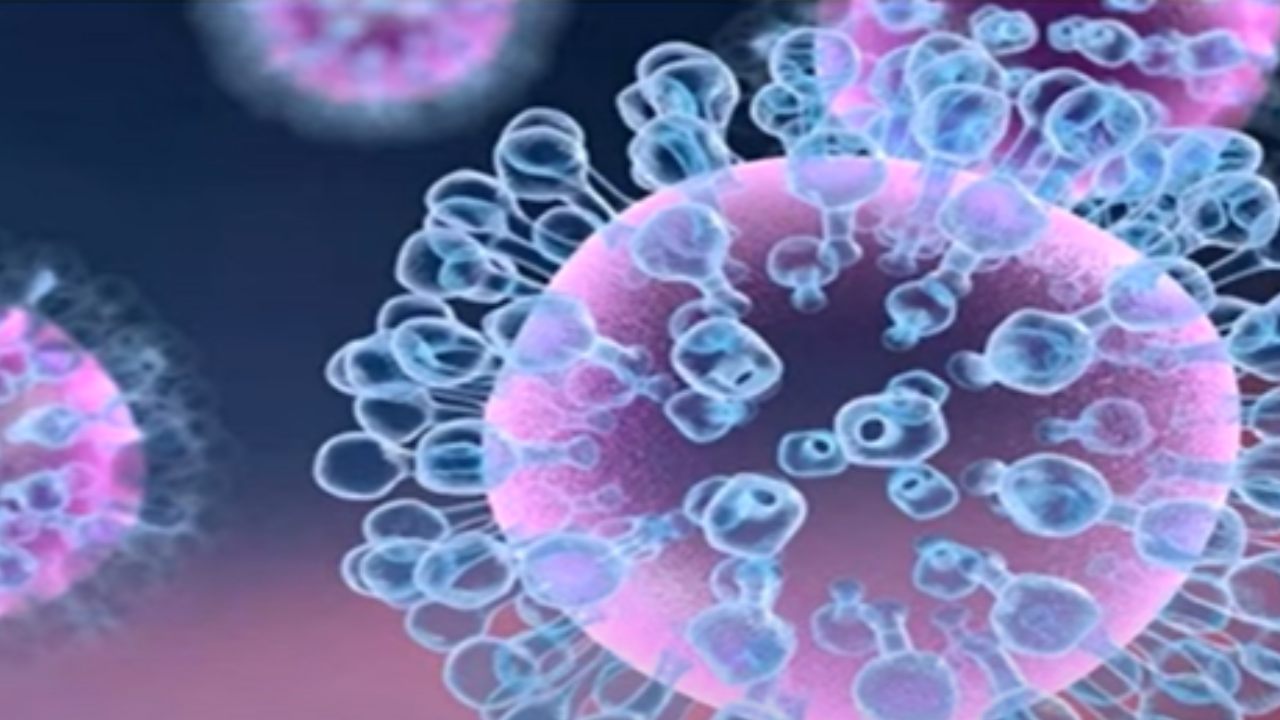 H3N2 virus : దేశంలో భయపెడుతున్న కొత్త వైరస్.. లక్షణాలేంటో తెలుసా?