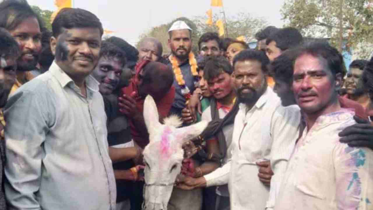 New Son in law Procession: కొత్త అల్లుడ్ని గాడిదపై ఊరేగించిన గ్రామస్తులు.. వీడియో వైరల్