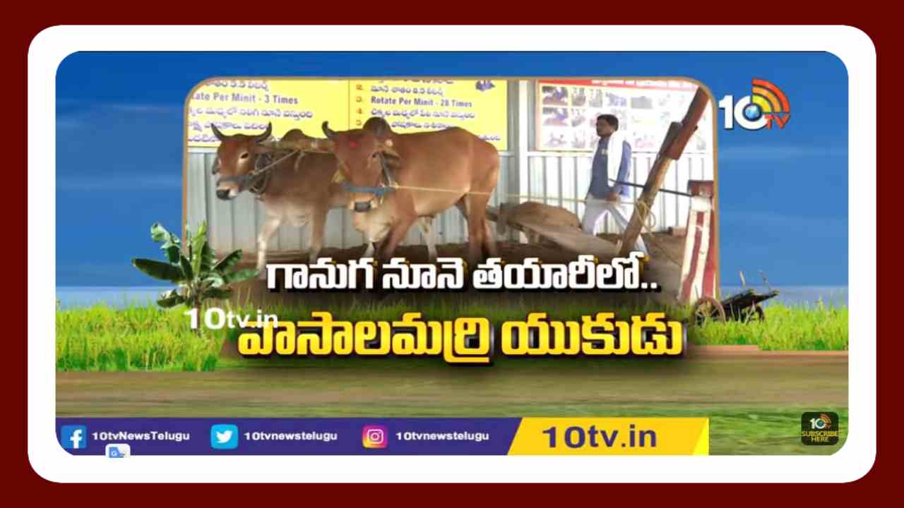 Organic Oil : గానుగ నూనె తయారీ పరిశ్రమలతో ఉపాధి పొందుతున్న వాసాలమర్రి యువకుడు