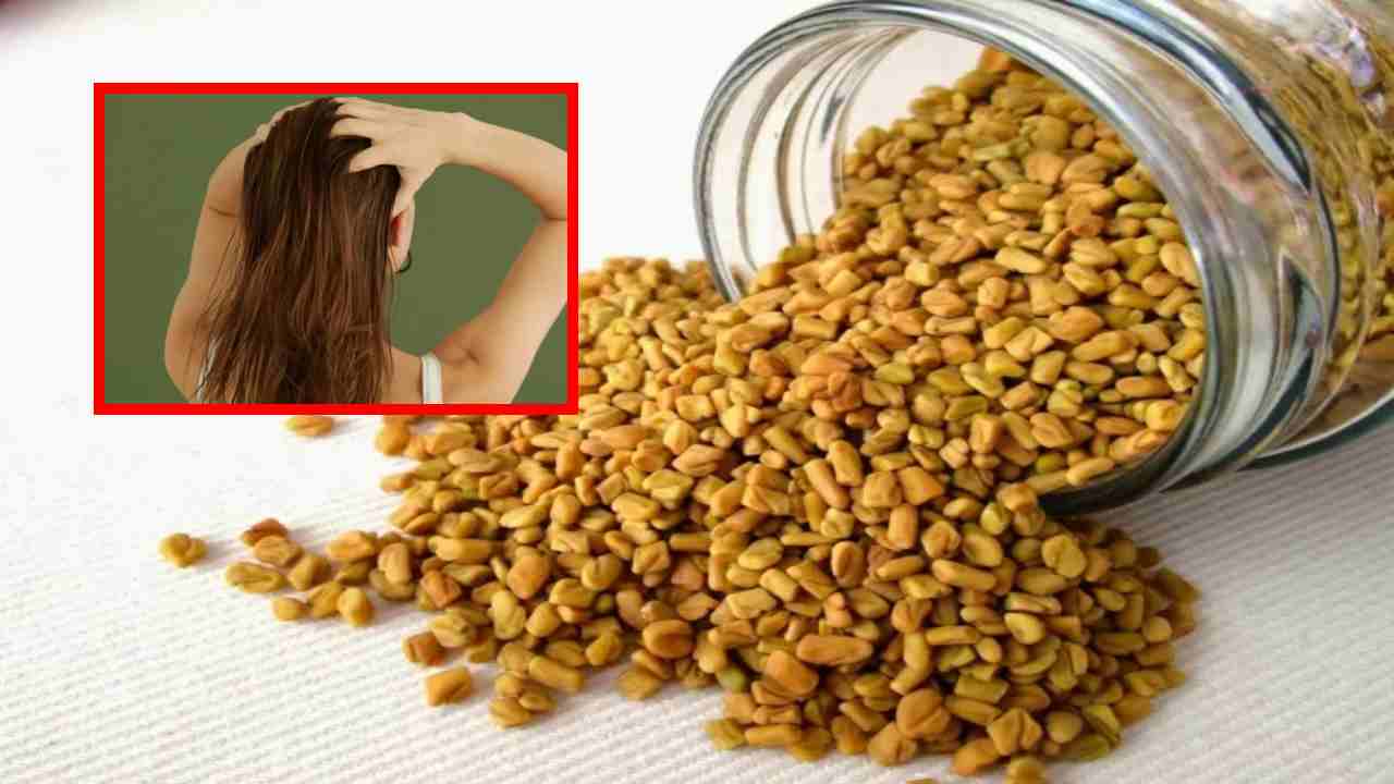 Fenugreek Seeds : వేసవికాలం జుట్టు నిర్జీవంగా మారుతుంటే మెంతులతో ఇలా చేసి చూడండి !