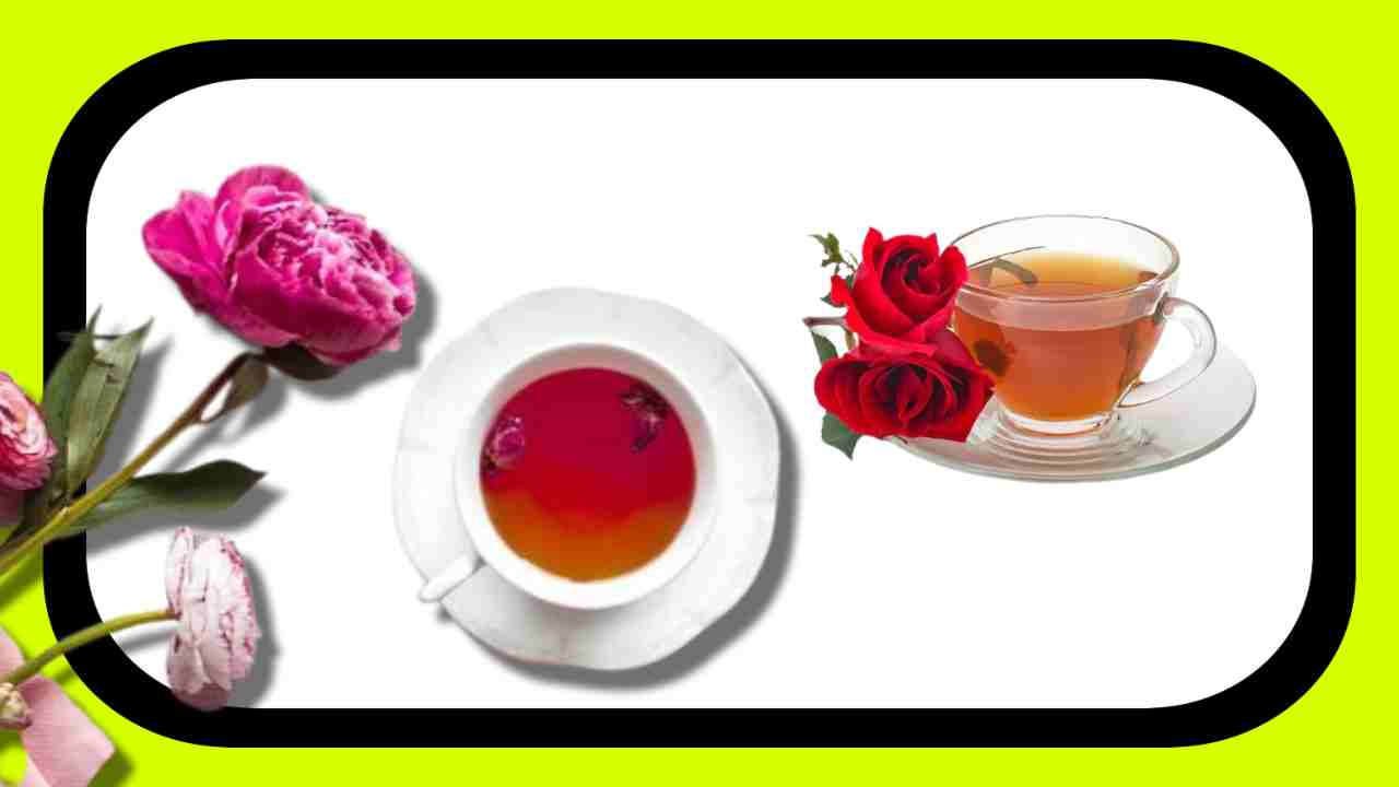 Rose Tea : బరువు తగ్గడానికి రోజ్ టీ ఎలా ఉపయోగపడుతుంది? రోజ్ టీ తయారీ ఎలాగంటే ?