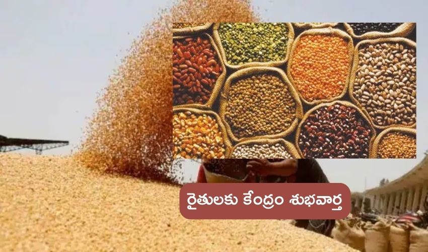PM Modi Govt : పంటలకు మద్దతు ధర పెంచిన కేంద్ర ప్రభుత్వం .. ఏం పంటకు ఎంతంటే..?