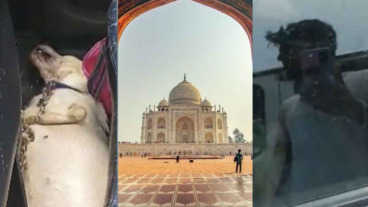 Agra : గుండెలు పిండే విషాదం.. కారులో ఊపిరాడక చనిపోయిన శునకం, వాళ్లసలు మనుషులేనా? ఏం చేసినా పాపం లేదు