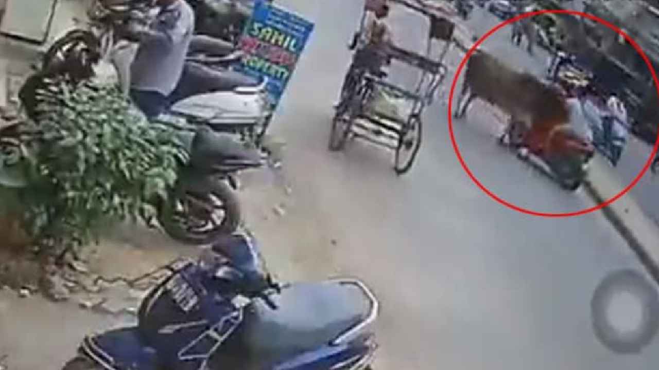 Delhi : OMG.. రోడ్డుపై రెచ్చిపోయిన ఎద్దు, బైక్‌పై వెళ్తున్న తల్లీకొడుకులపై దాడి, కుమ్మి కుమ్మి పడేసింది.. ఒళ్లుగగుర్పొడిచే వీడియో