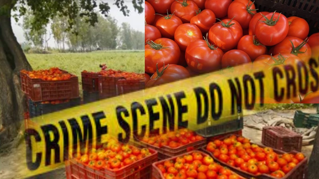 Andhra Pradesh : ఏపీలో టమాటా రైతు హత్య .. ఈ దారుణానికి కారణం అదేనా..?!