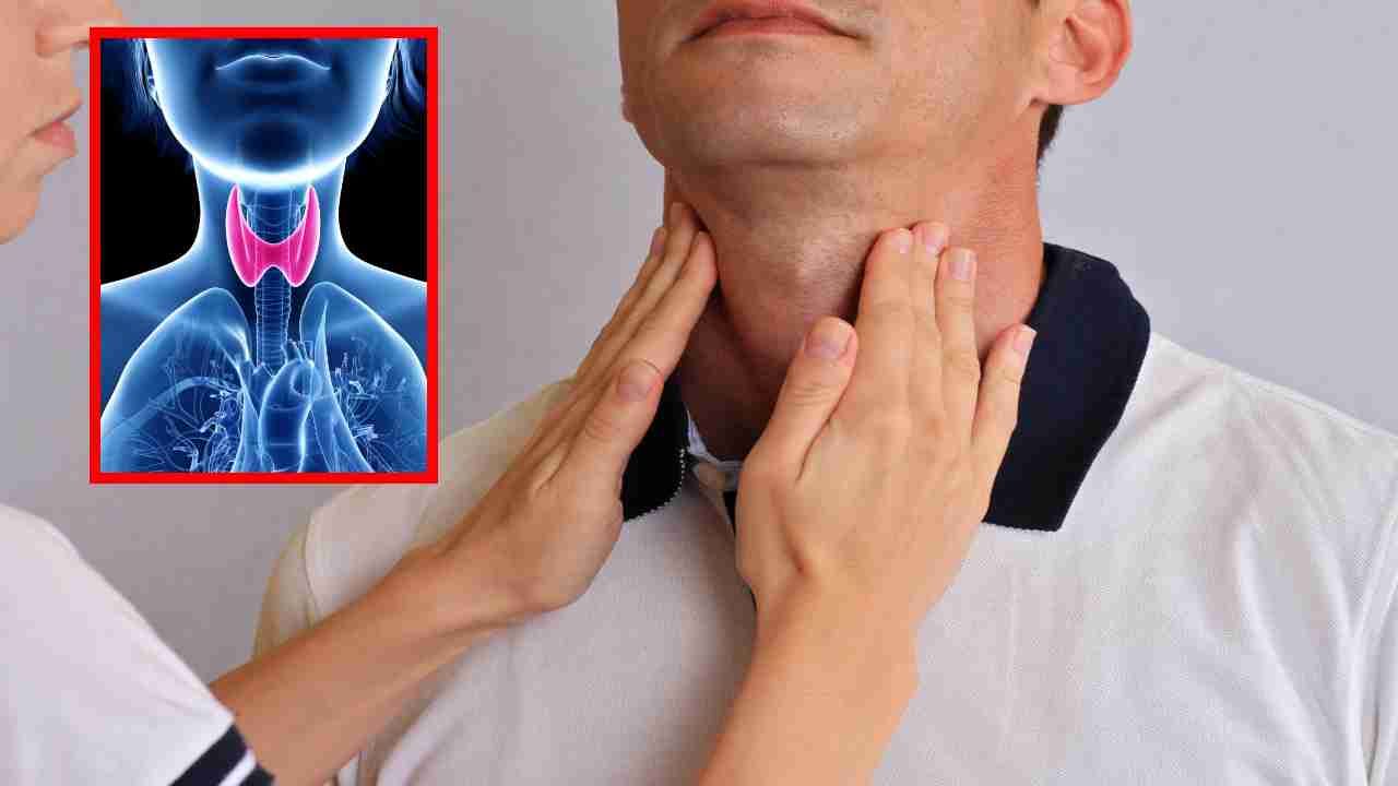 Hyperthyroidism : థైరాయిడ్ శరీర ఆరోగ్యంపై ఎలాంటి ప్రభావం చూపుతుంది? ఓవర్యాక్టివ్ థైరాయిడ్ యొక్క సంకేతాలు !