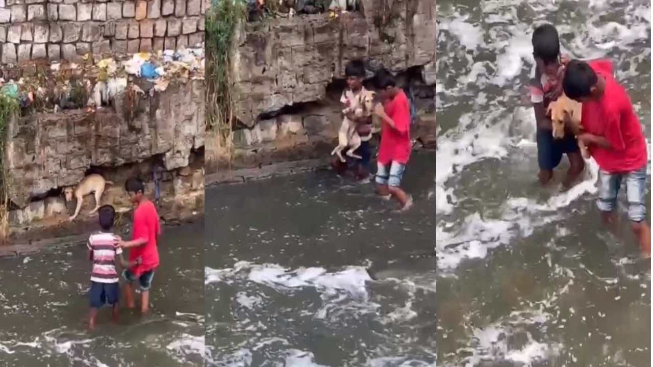 Boys saved the dog : కుక్కను కాపాడటానికి ప్రాణాలకు తెగించిన చిన్నారులు .. బంగారాలంటూ నెటిజన్లు ప్రశంసలు