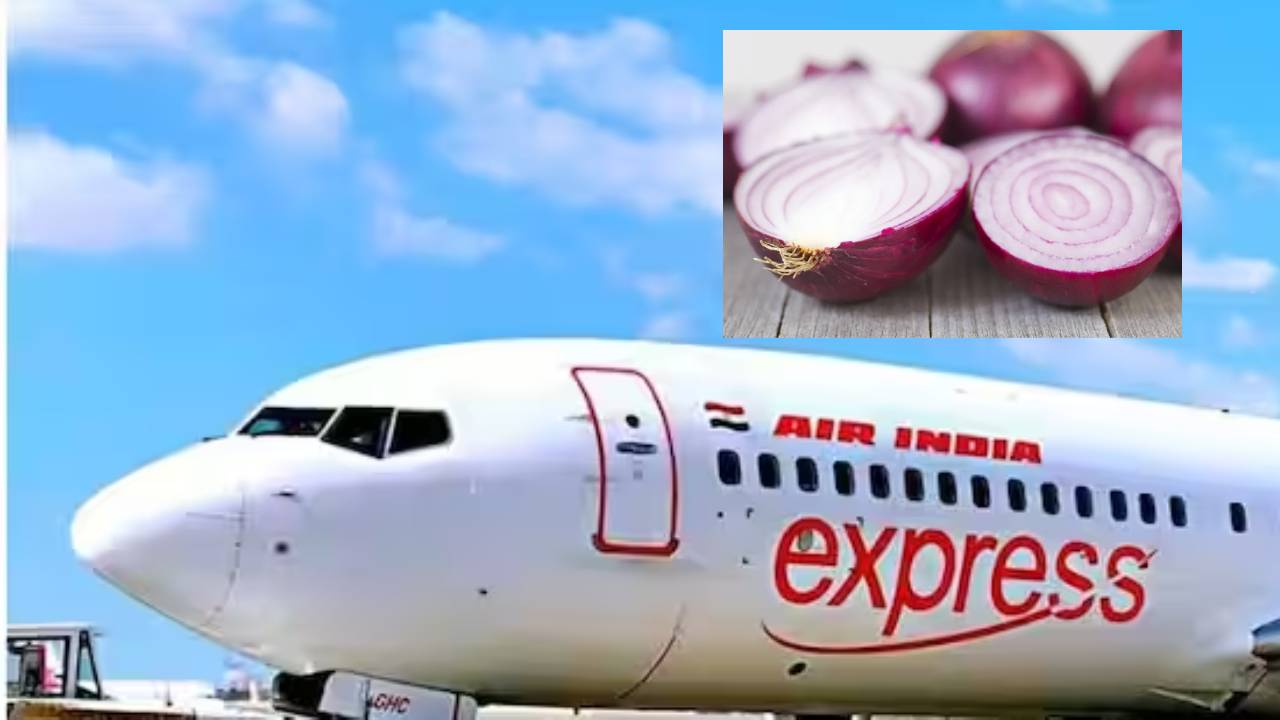 Onions Smelly In Flight : ఎయిరిండియా విమానంలో ఉల్లిపాయల వాసన, హడలిపోయిన ప్రయాణీకులు.. ఎమర్జన్సీ ల్యాండ్ చేసిన పైలట్