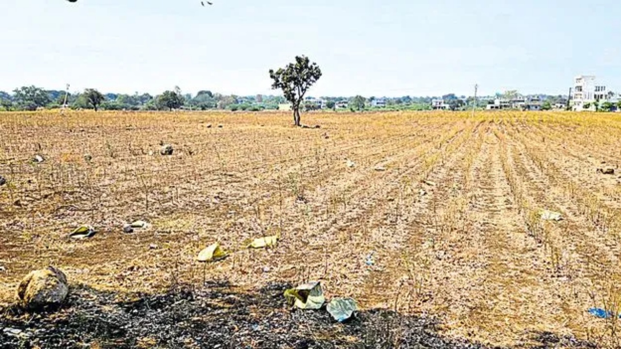 TS Land Value Hike : సర్కార్ కీలక నిర్ణయం.. భారీగా పెరిగిన భూముల విలువ.. ఏకంగా 100 శాతం పెంపు.. ఏ ప్రాంతంలో ఎంతంటే