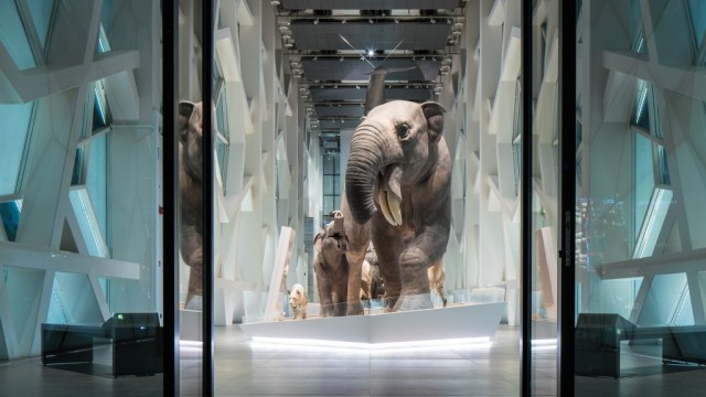 الأرض كوكبنا