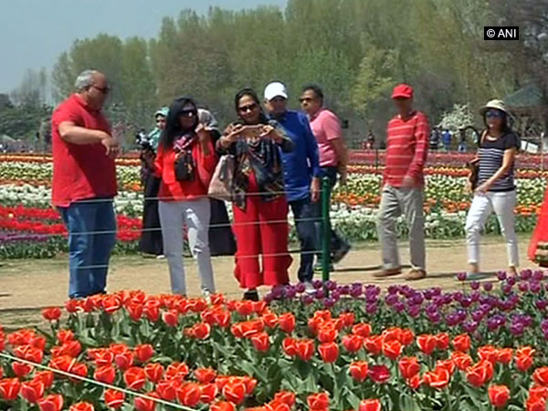 Tulip Garden in Srinagar- a huge attraction for tourists
