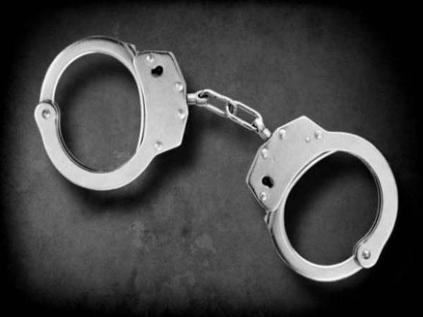 Haryana Police arrest two, seize 15 live cartridges