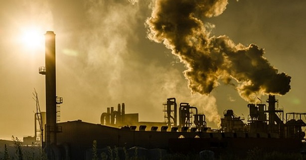 Pollution in cities damaging ecosystems