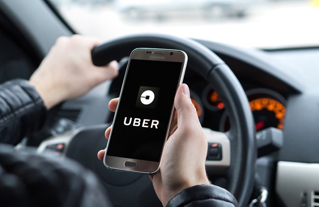 Uber Pet will solve pet-lovers’ biggest problem