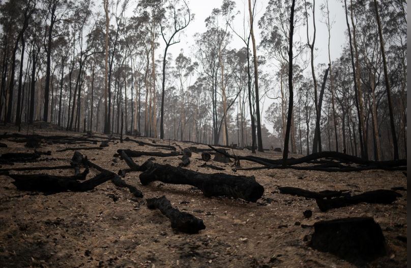Australia weather bureau sees no sign of cooler weather or rain to quell bushfires