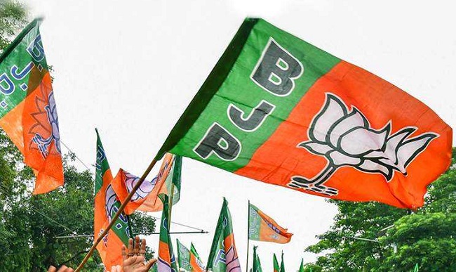 Delhi Polls: Union ministers, CMs, celebrity faces among 40 BJP star campaigners Delhi Polls: Union ministers, CMs, celebrity faces among 40 BJP star campaigners