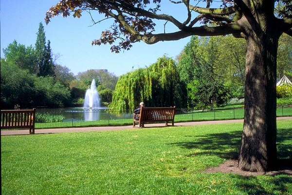 Mental health benefits of parks dimmed by safety concerns, reveals study Mental health benefits of parks dimmed by safety concerns, reveals study