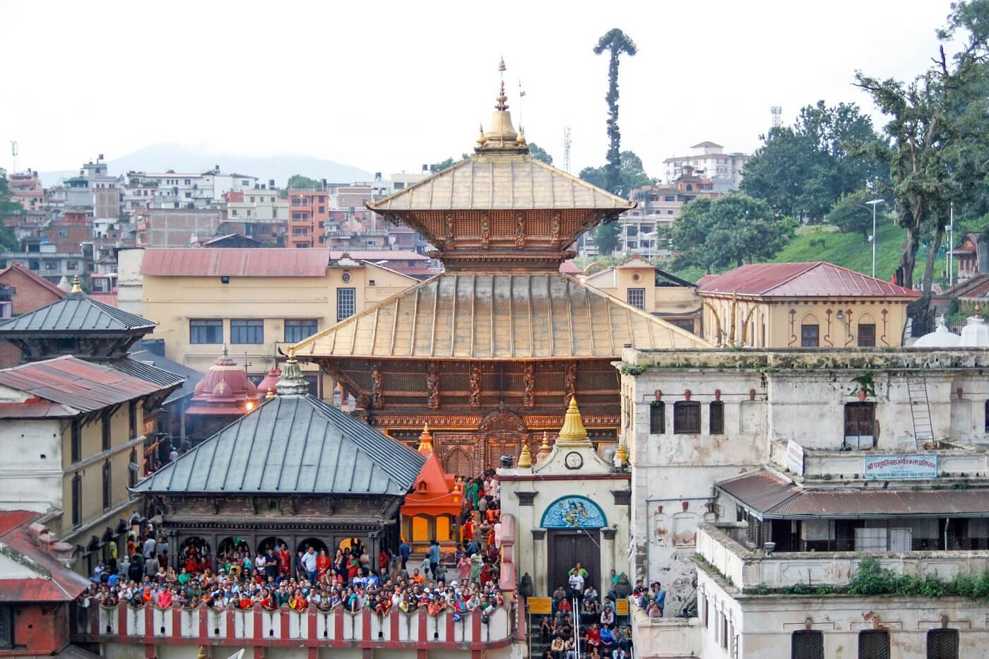 Pashupatinath Temple reopens adhering COVID-19 protocols