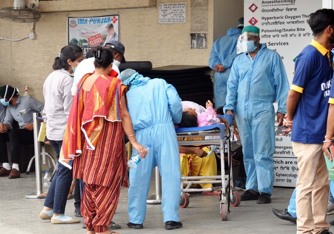 Second year of Covid-19 pandemic could be more difficult than first: WHO