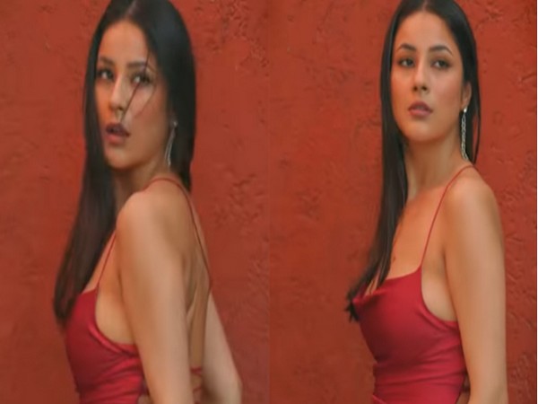 Social Media: Shehnaaz Gill turns ‘Senorita’ in new video Social Media: Shehnaaz Gill turns ‘Senorita’ in new video
