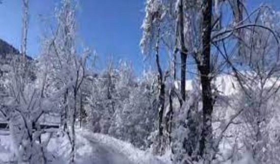 J&K: Kashmir In The Grip Of Freezing Cold; Pahalgam Records -11.8 D Cel J&K: Kashmir In The Grip Of Freezing Cold; Pahalgam Records -11.8 D Cel