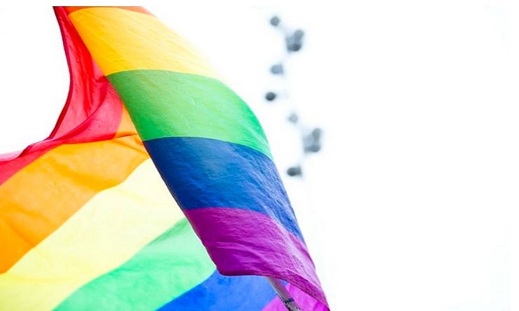 “Legalising same-sex marriage will have devastating impact on society”: Former judges