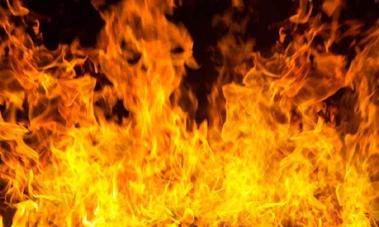Uttar Pradesh: Four charred to death in foam factory fire in Bareilly Uttar Pradesh: Four charred to death in foam factory fire in Bareilly