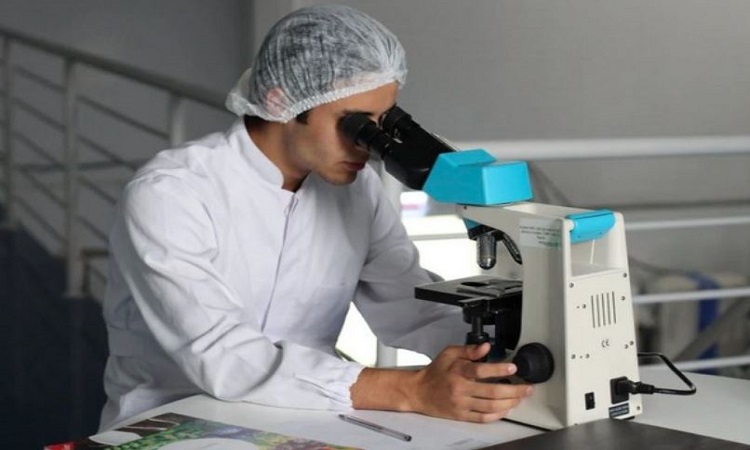 Study reveals how resistant starch intake lowers liver triglycerides in people with fatty liver disease