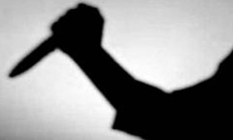 Haryana: Brother kills sister brutally by stabbing her multiple times, flees from spot
