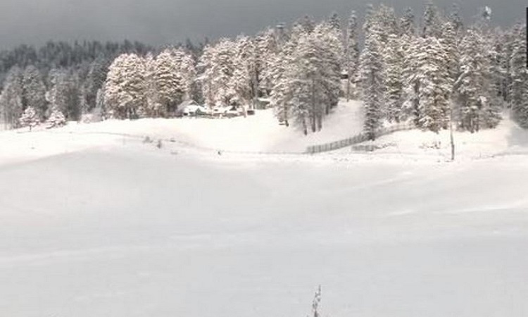 J-K: Fresh snowfall turns Gulmarg into mesmerising winter wonderland J-K: Fresh snowfall turns Gulmarg into mesmerising winter wonderland