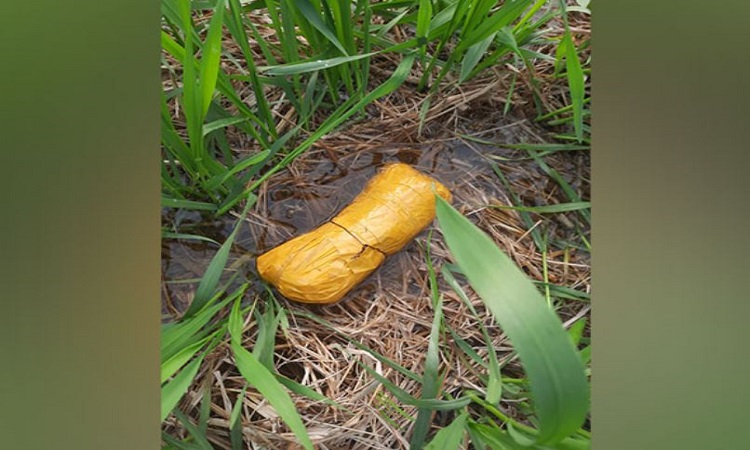 BSF, Punjab police seize 672 gms of heroin in Tarn Taran