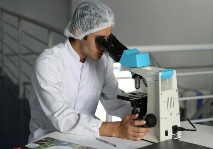 Polycystic ovary syndrome linked to memory, thinking problems