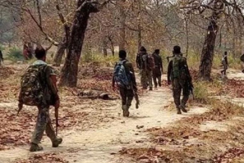 Chhattisgarh: 14 Naxalites, including 11 with cumulative bounty of Rs 41 lakh, held in Bijapur