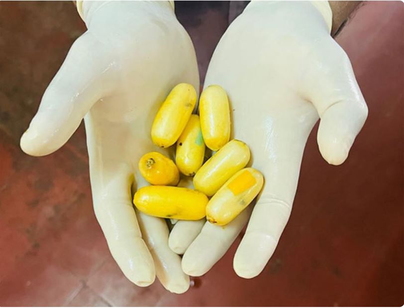 Eight people served notice in Bengaluru rave party case