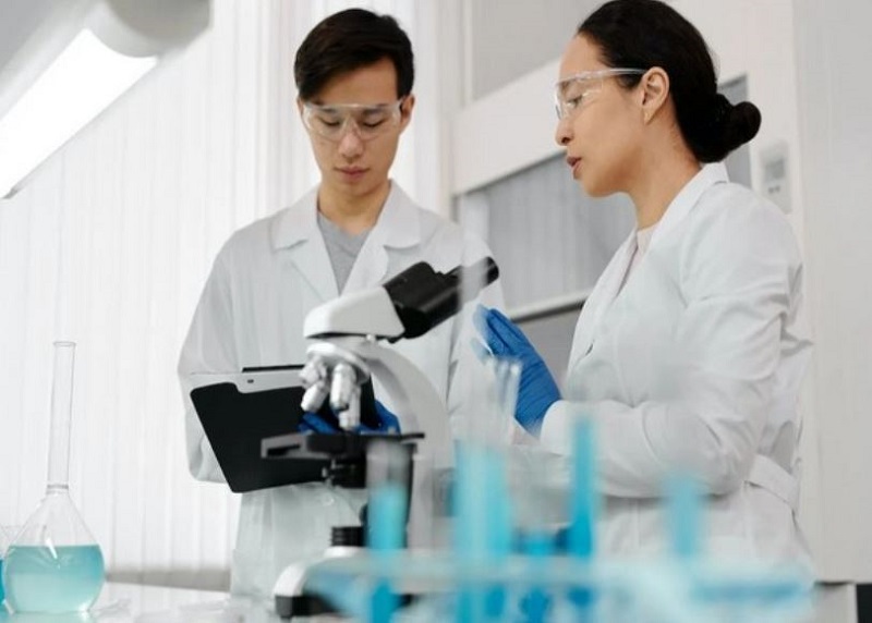 Study gives more insight into type 2 diabetes