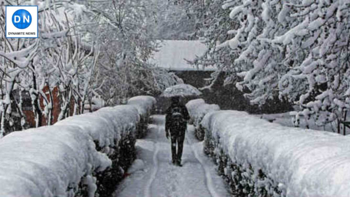 Weather: Kashmir valley covered with snow; Srinagar chills at 1°C
