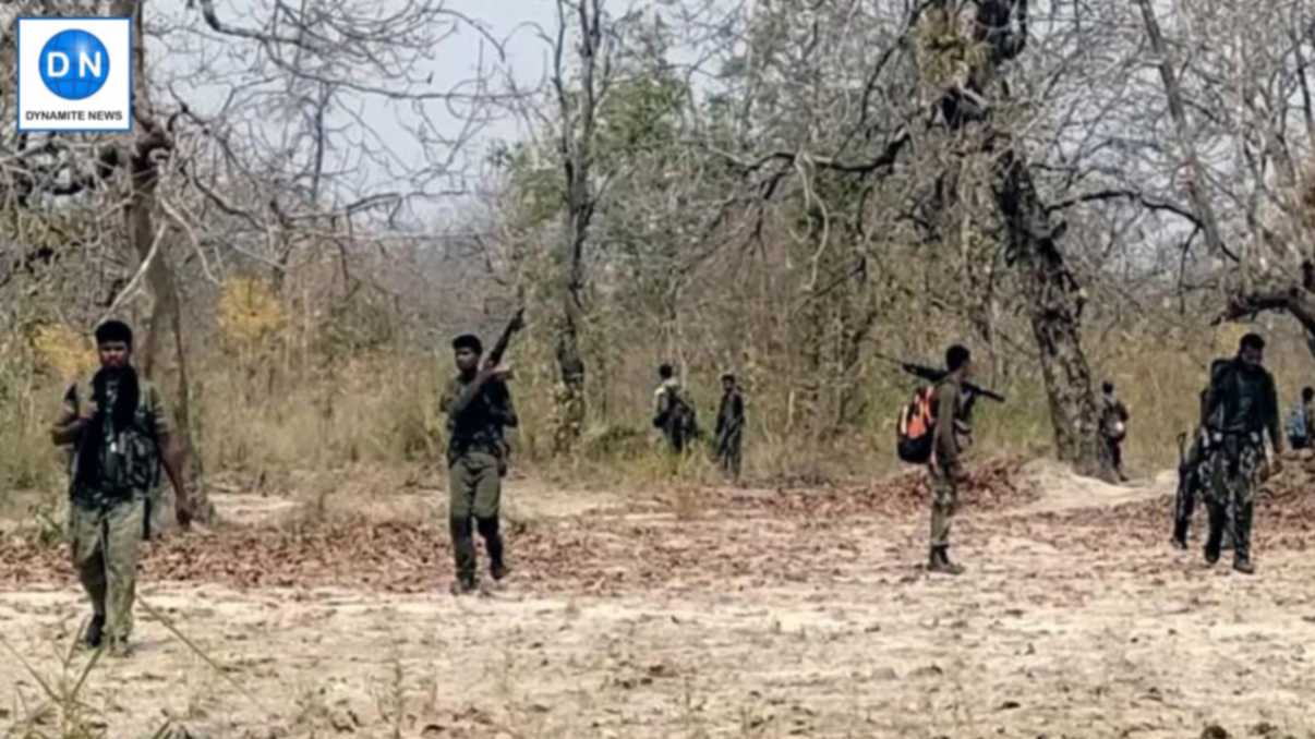 Chhattisgarh: 12 Maoists killed, 2 jawans martyred in encounter in Bijapur Chhattisgarh: 12 Maoists killed, 2 jawans martyred in encounter in Bijapur
