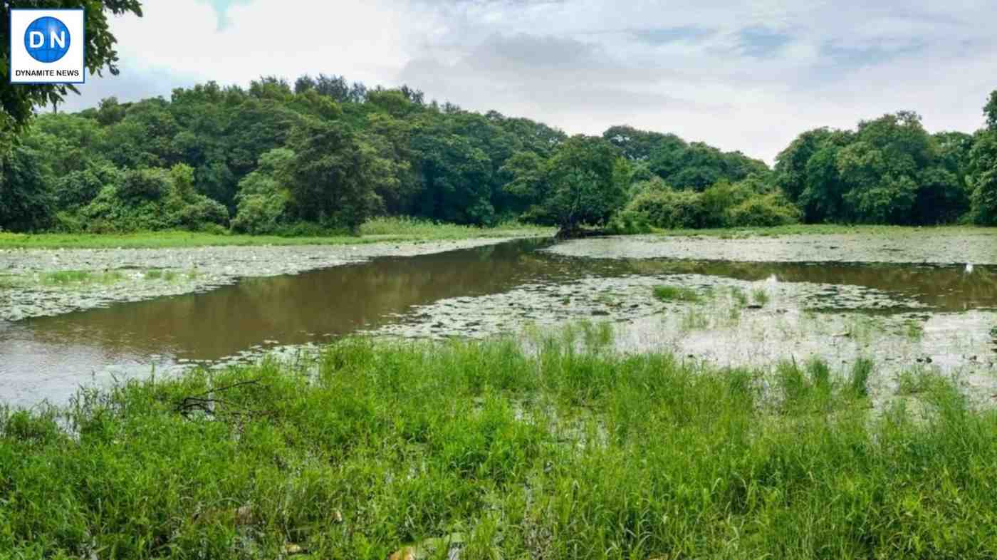 Study reveals impact of animals as architects of Earth