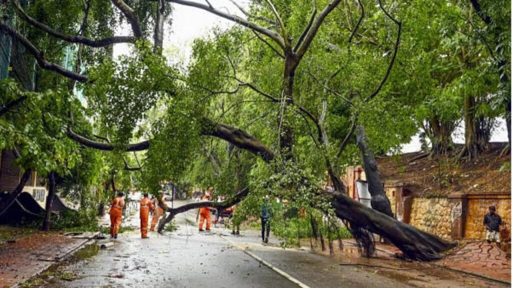 Heavy rains standstill people in Kerala