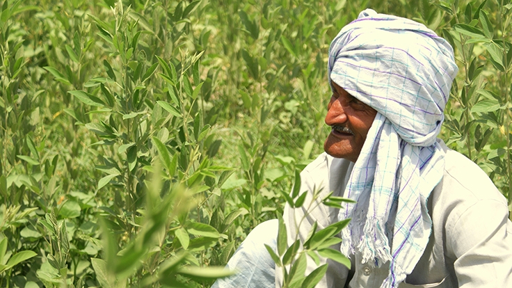 UP Farmers hit a jackpot: crores to get direct benefits