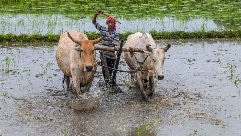 Monsoon comes to standstill (Source: Internet)