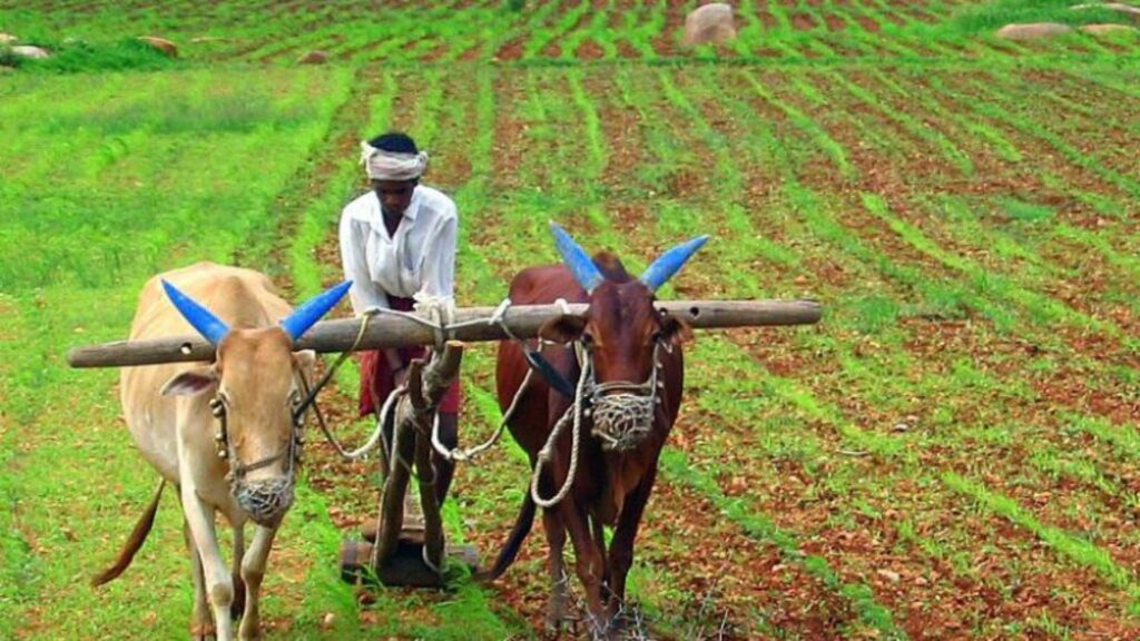 PM Kisan Samman Nidhi: A relief for farmers (Source: Internet)