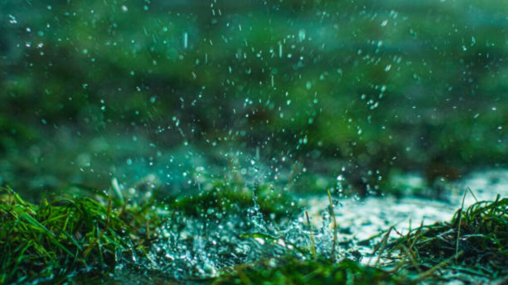Green coloured rain due to pollens (source: internet)