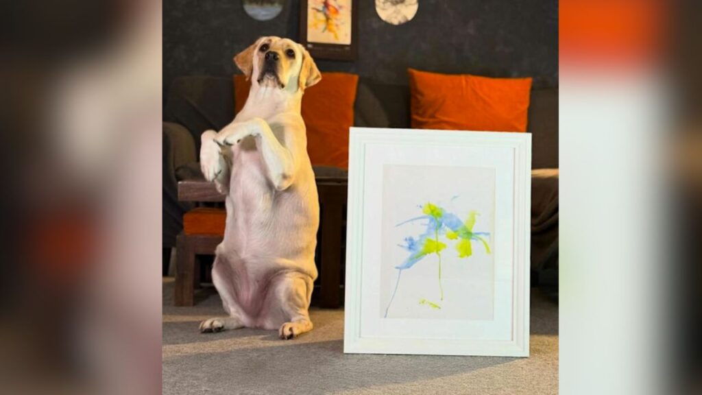 India's first painter dog (Source: Internet)