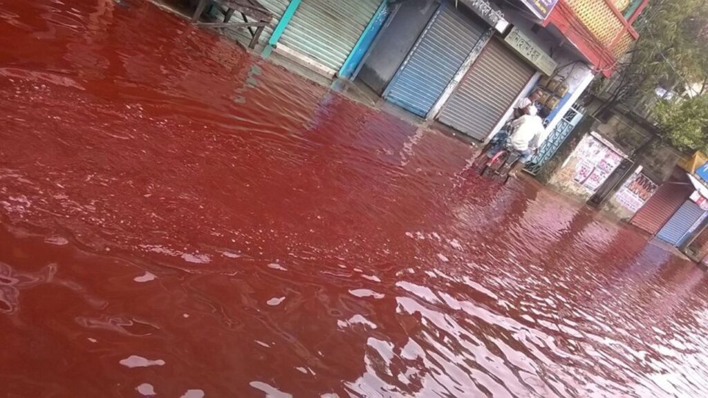 A striking scene from Kerala (Source: Internet)