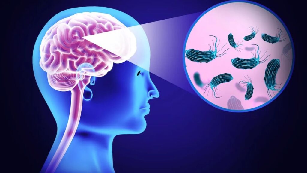 Brain eating amoeba is presents in contaminated water