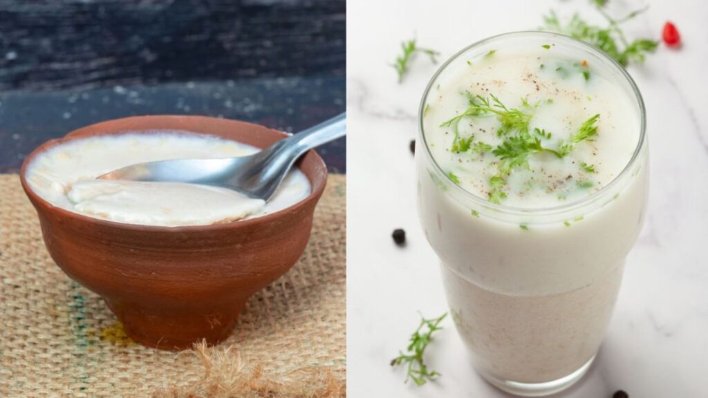 Curd vs Buttermilk: Which is better?